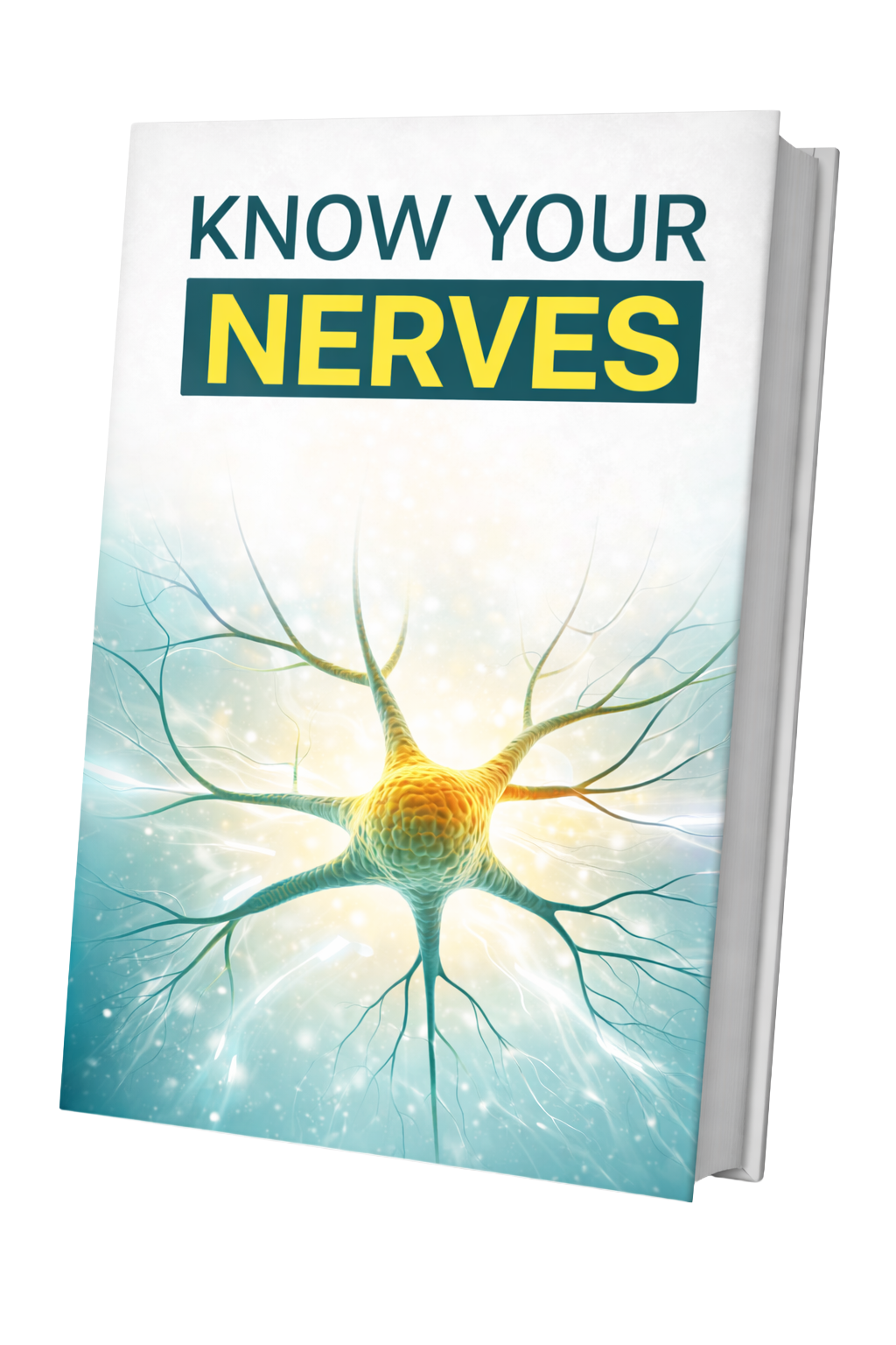 NerveCell Bonus2