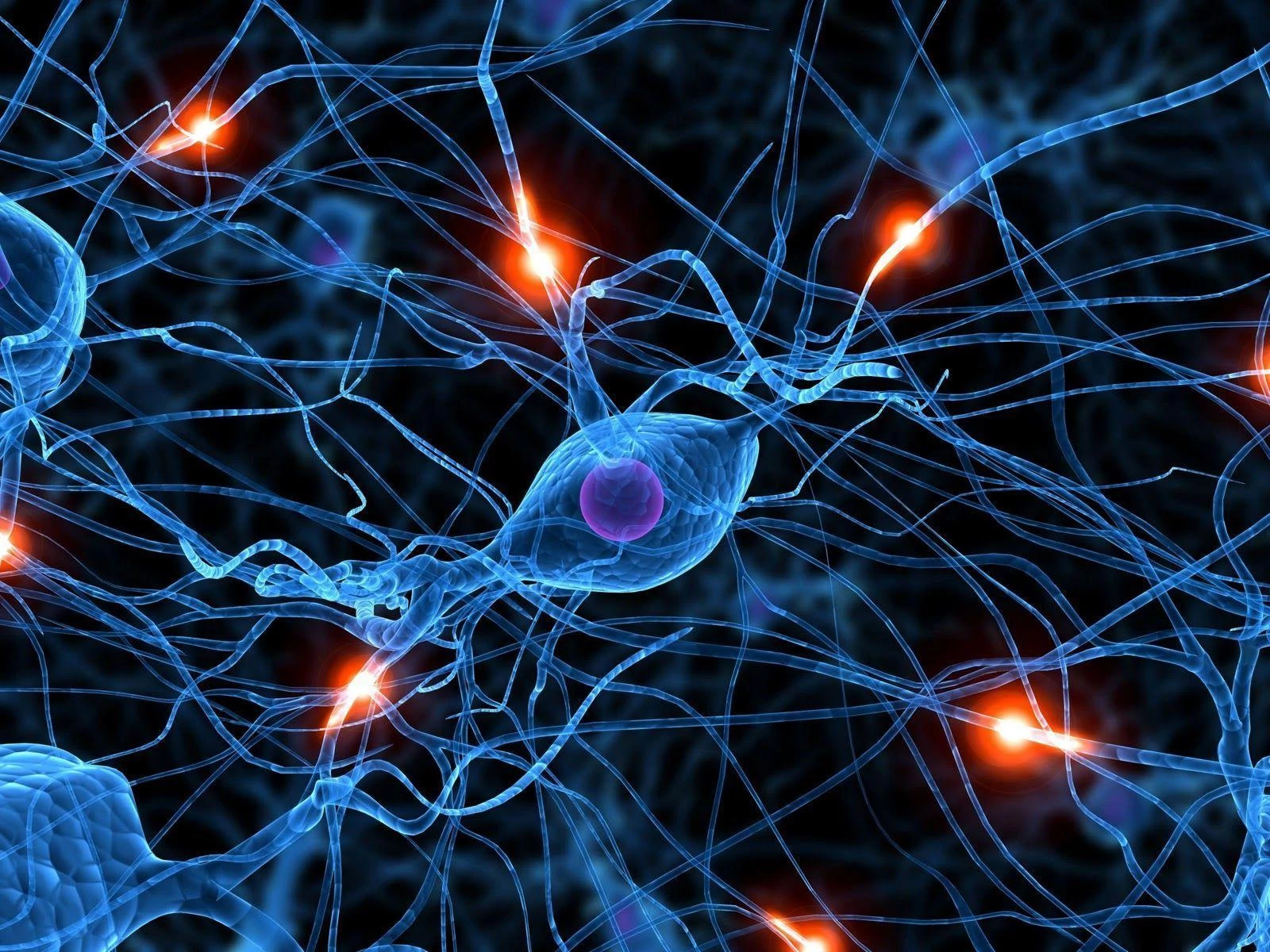 NerveCell Neural inflammation