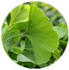 Memora - Ginkgo Biloba