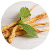 Memora - Panax Ginseng