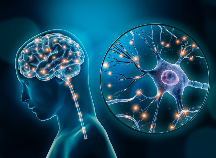 Myco Max Benefits