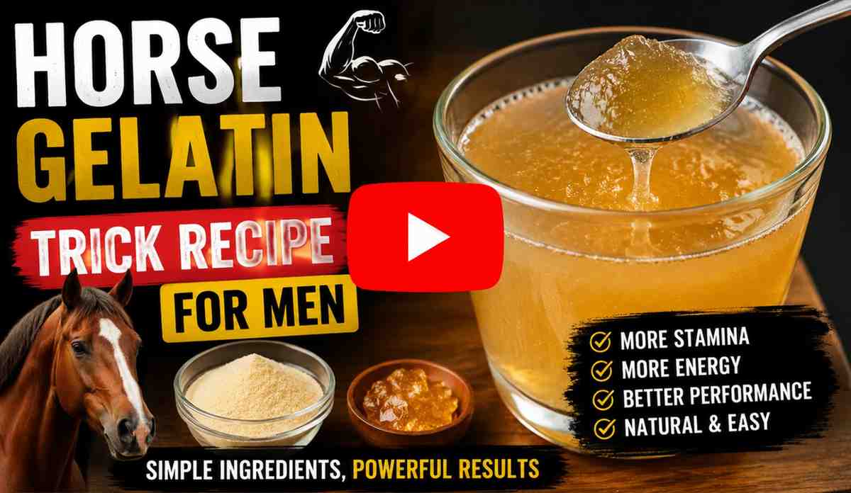 Horse Gelatin Trick Recipe for Men