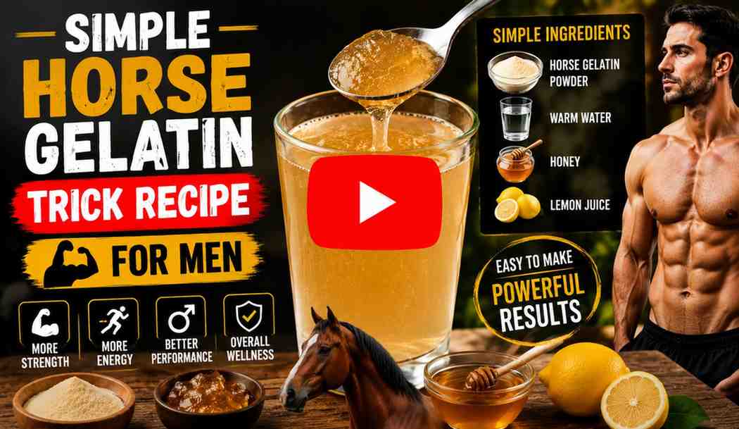 Simple Horse Gelatin Trick Recipe for Men